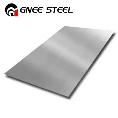 Hastelloy Alloy B2 plata
